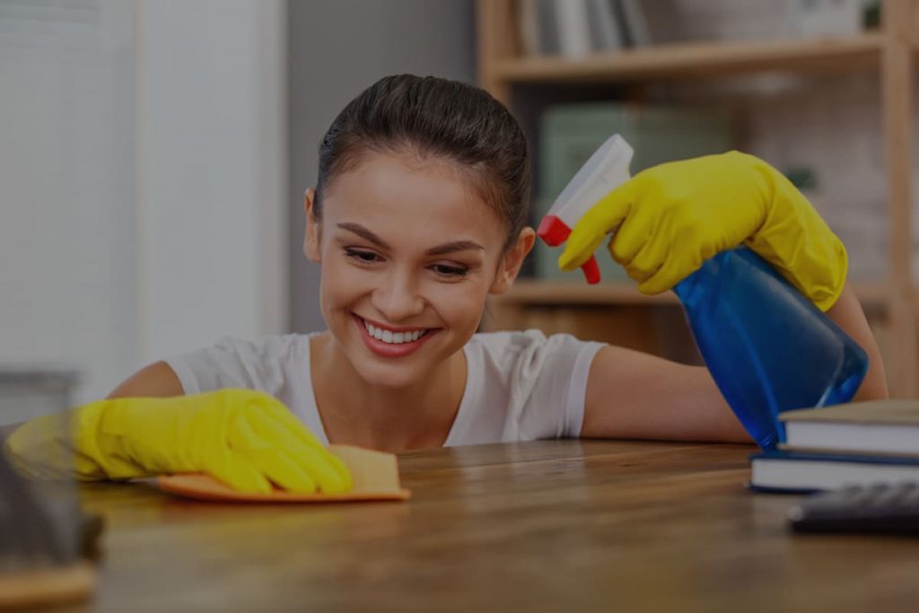 domestic cleaning london